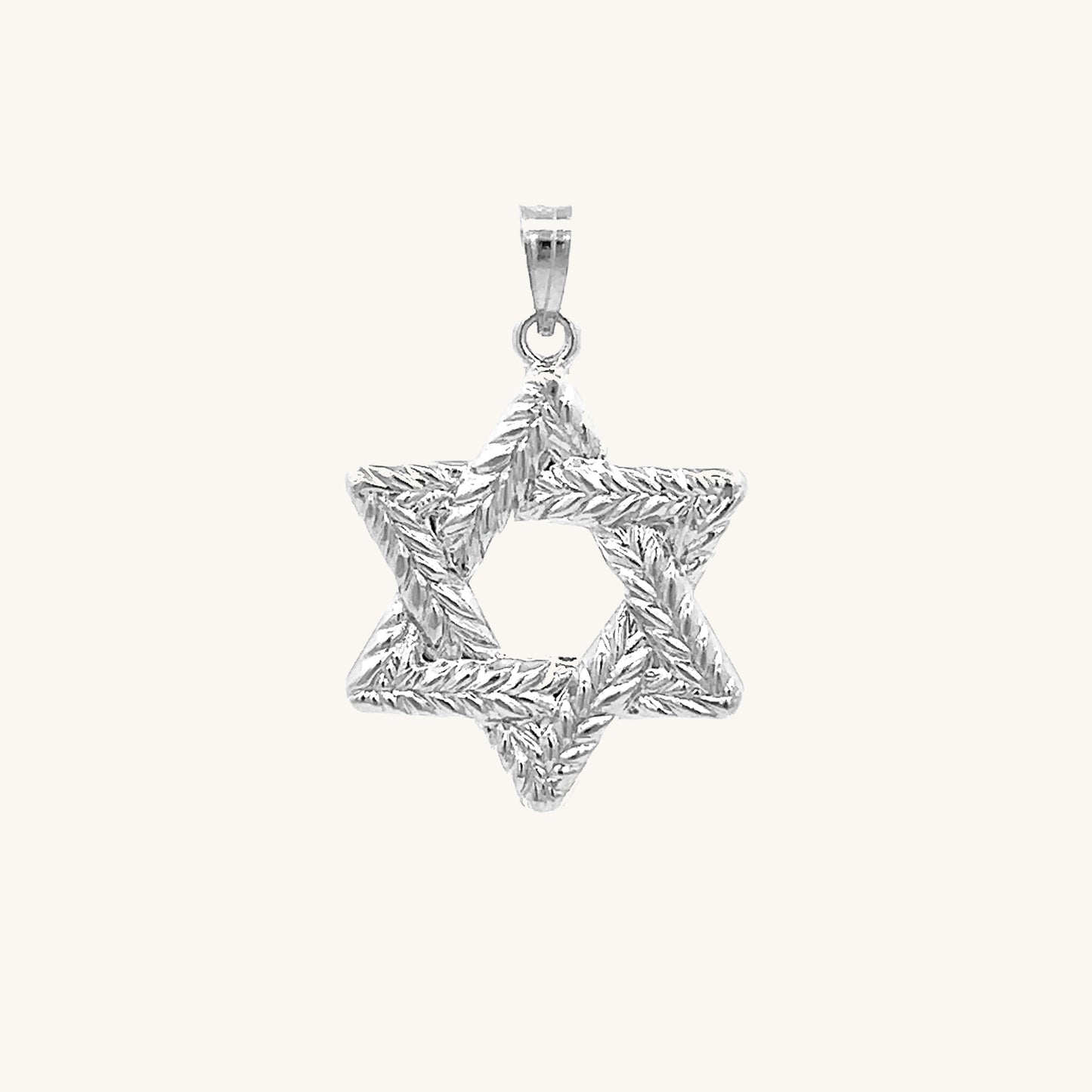 14K White Gold Braided Jewish Star L