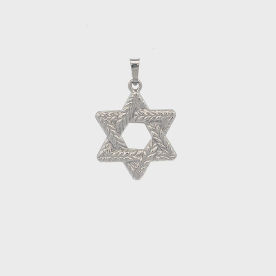 14K White Gold Braided Jewish Star L